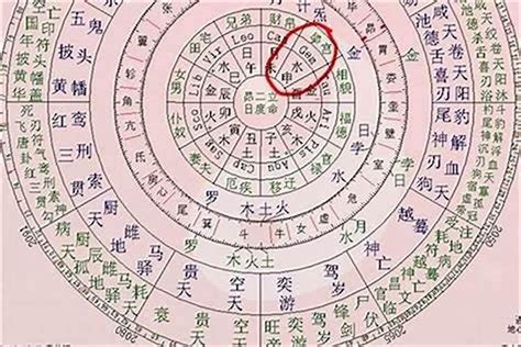 生辰八字哪八字|“生辰八字”是指哪八个字？怎么查看自己的八字，看完就全明白了